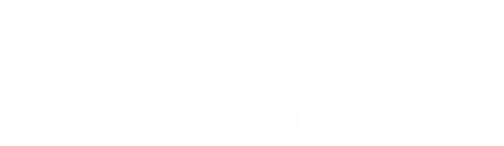 Wella logo for a case study